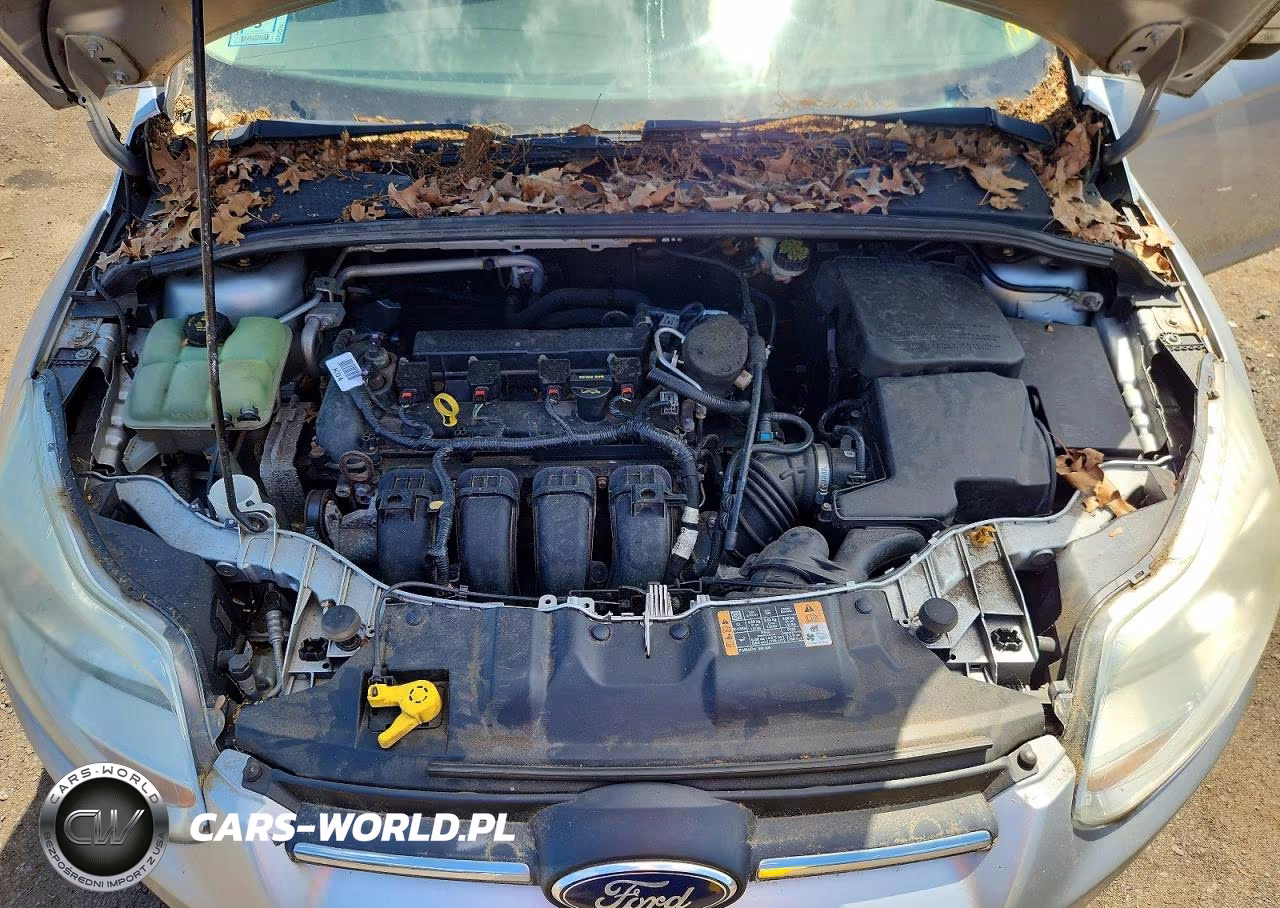 2014 Ford Focus Se VIN:1FADP3F26EL304808 - 11