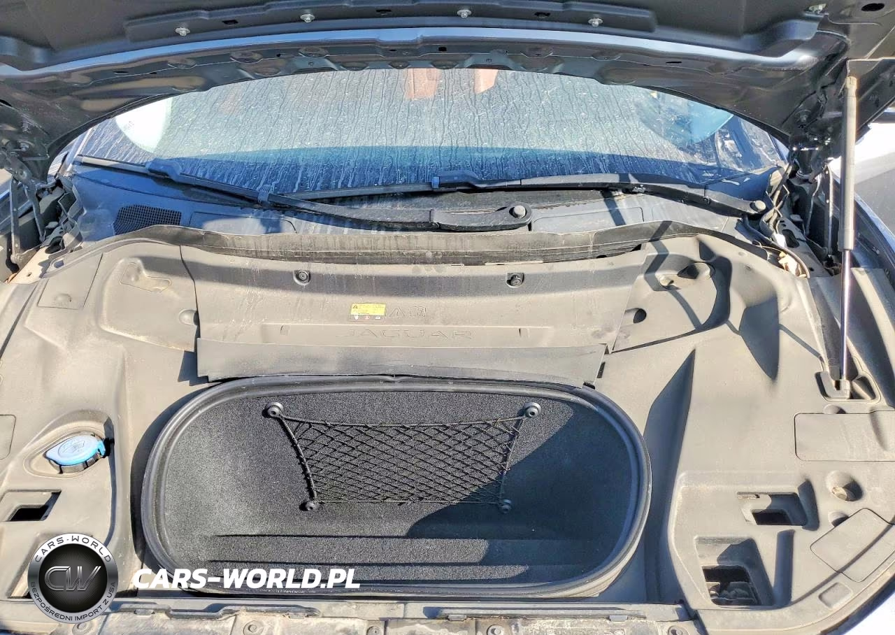 2019 Jaguar I-Pace First Edition VIN:SADHD2S15K1F63252 - 12