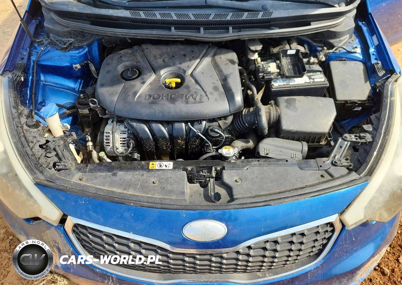 2014 Kia Forte Lx VIN:KNAFX4A6XE5088532 - 11