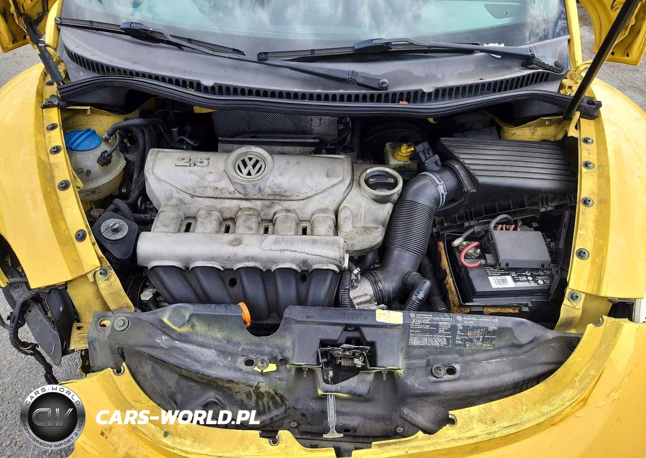 2007 Volkswagen Beatle VIN:3VWRG31Y27M400087 - 11