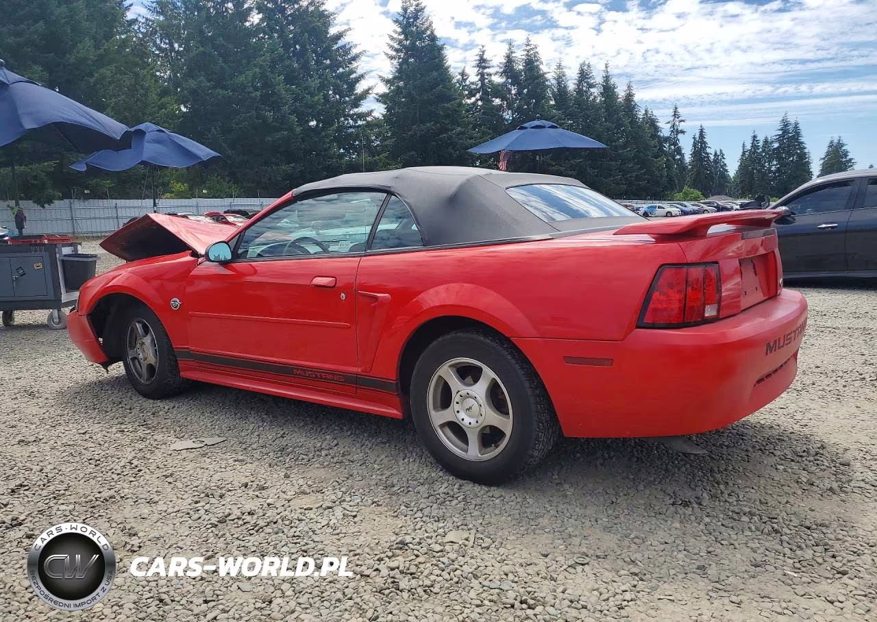 2004 Ford Mustang VIN:1FAFP44654F230556 - 2