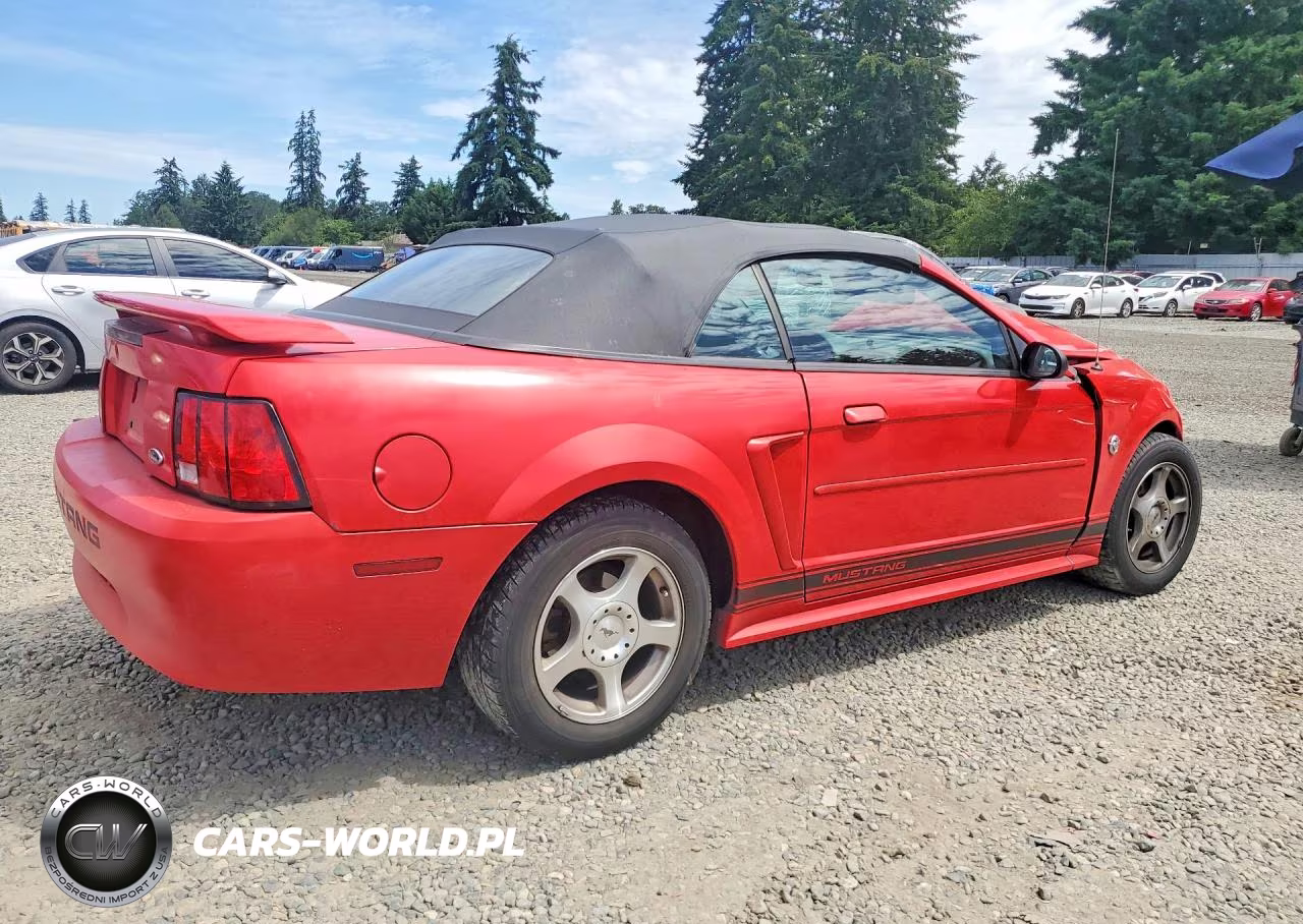 2004 Ford Mustang VIN:1FAFP44654F230556 - 3