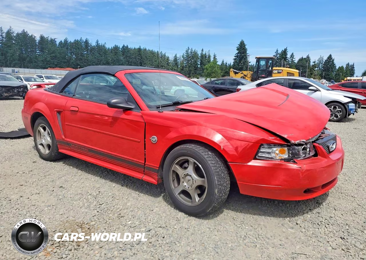 2004 Ford Mustang VIN:1FAFP44654F230556 - 4