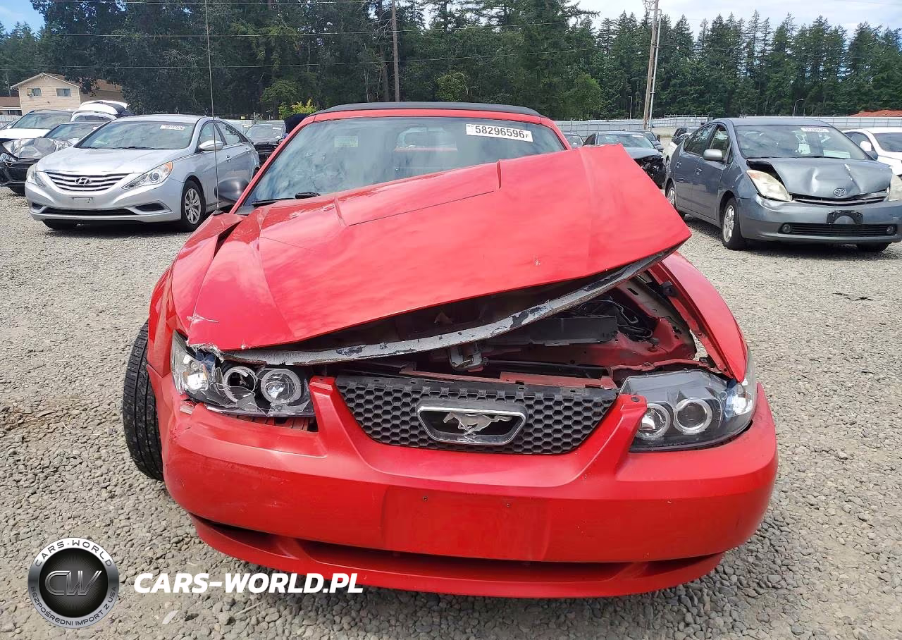 2004 Ford Mustang VIN:1FAFP44654F230556 - 5