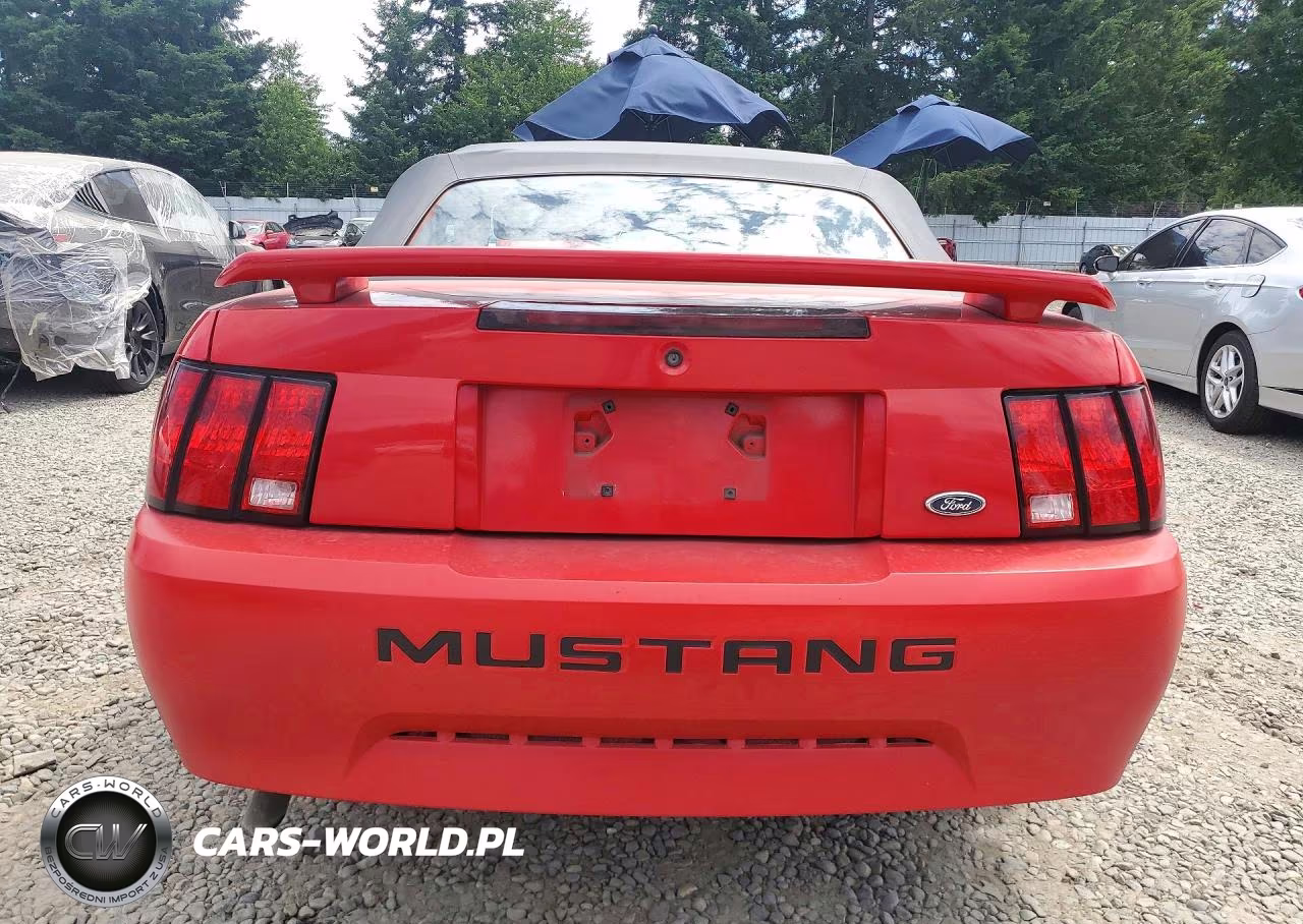 2004 Ford Mustang VIN:1FAFP44654F230556 - 6
