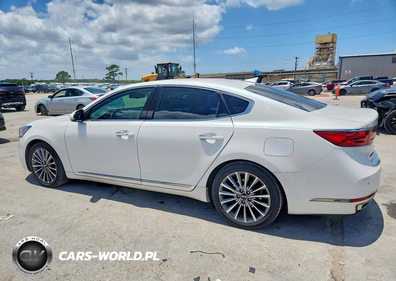 2019 Kia Cadenza Premium VIN:KNALB4J11K5154791 - 2