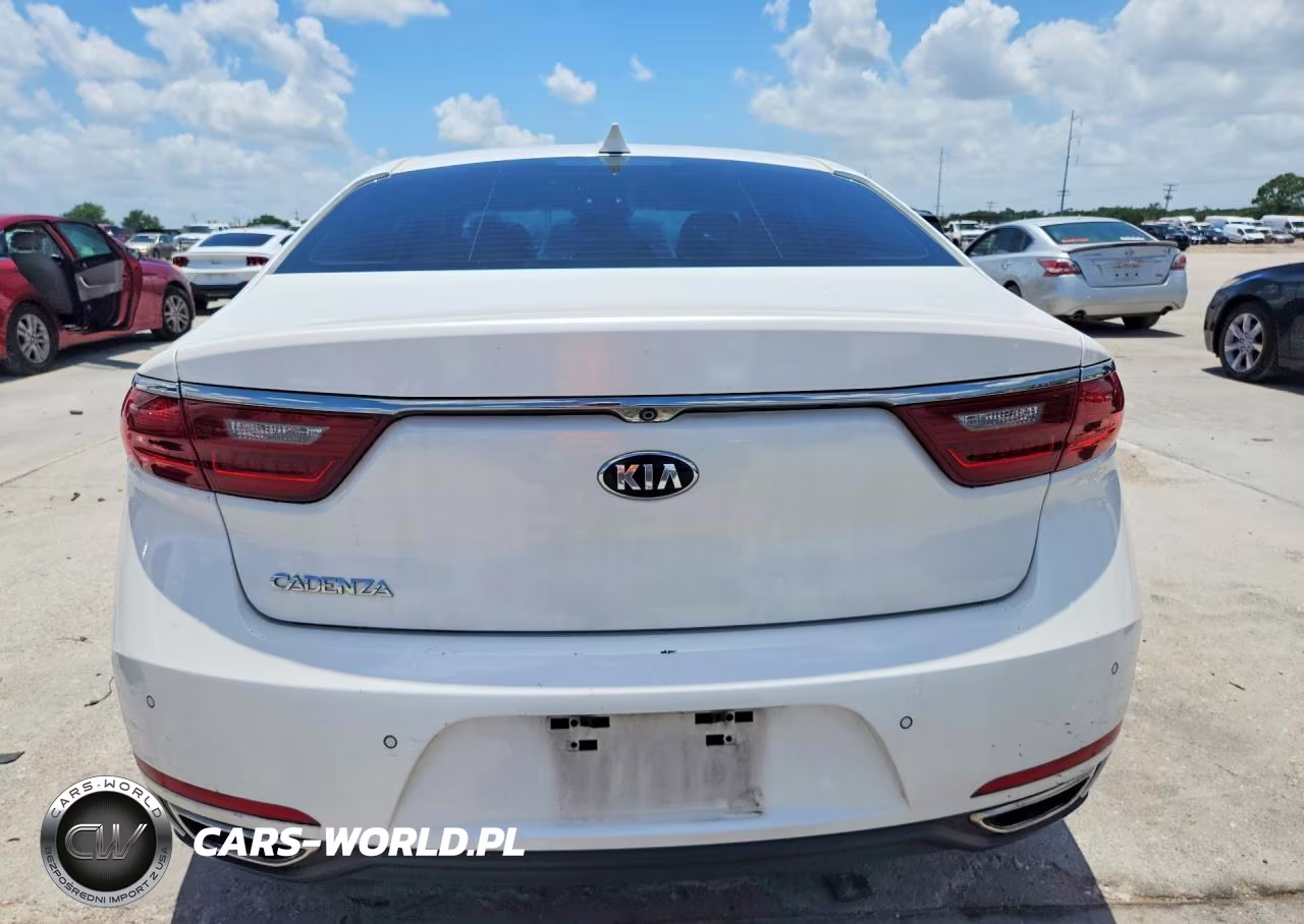 2019 Kia Cadenza Premium VIN:KNALB4J11K5154791 - 6