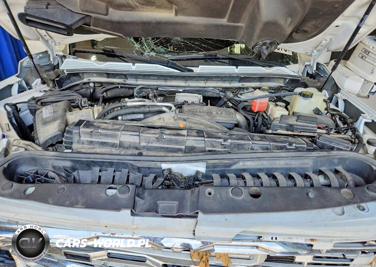 2021 GMC Sierra K2500 Denali VIN:1GT49REY4MF196196 - 12