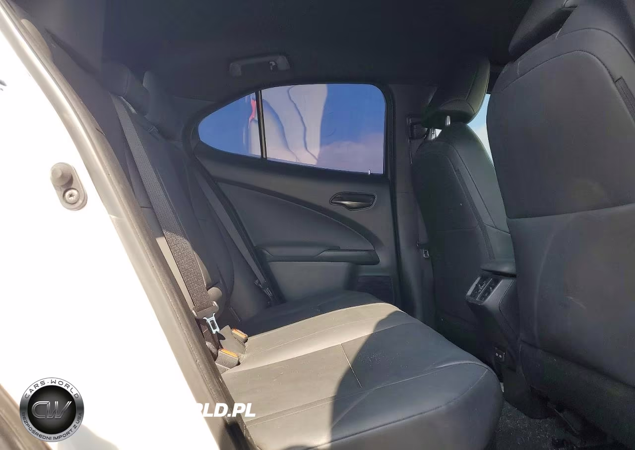 2021 Lexus Ux 250H VIN:JTHX9JBH4M2050289 - 10