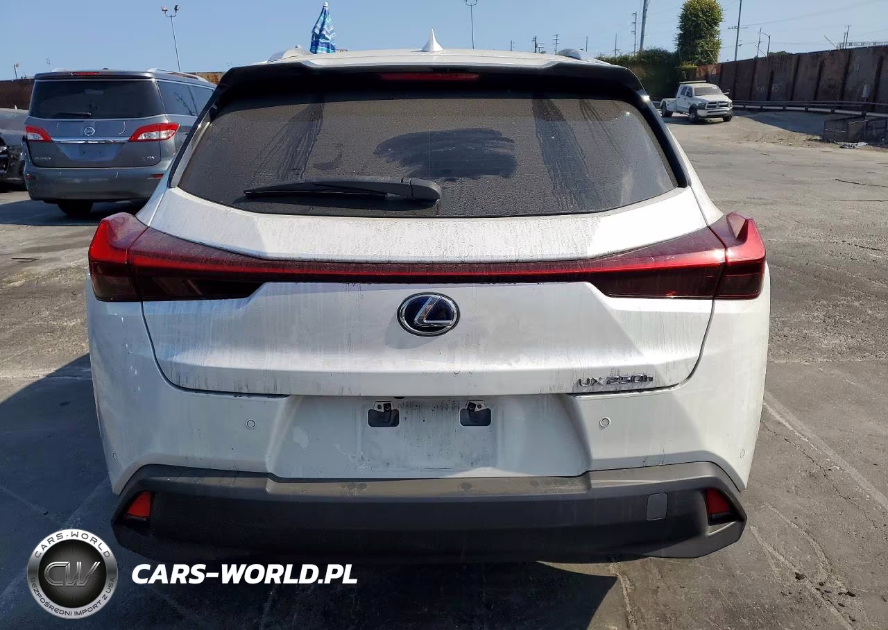 2021 Lexus Ux 250H VIN:JTHX9JBH4M2050289 - 6