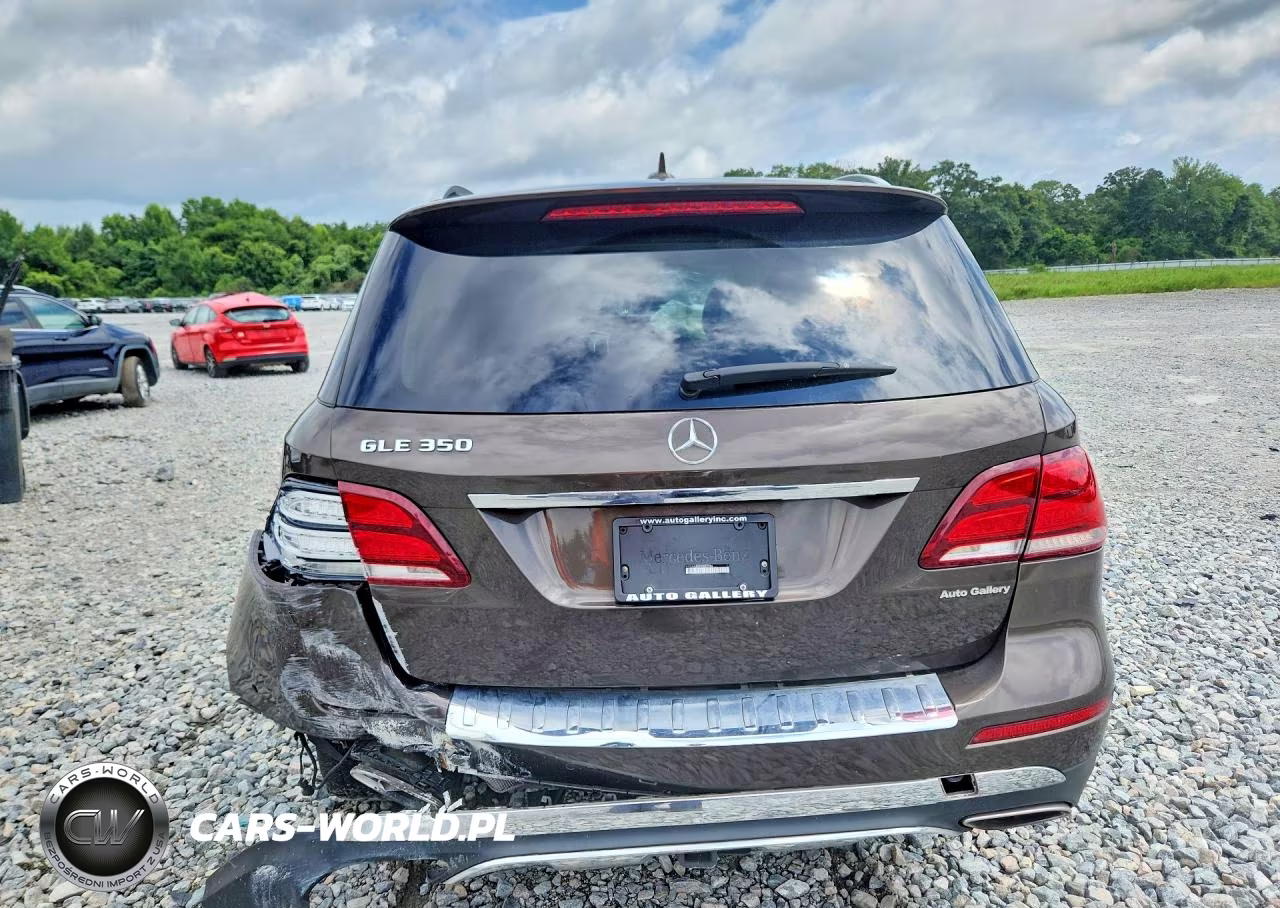 2017 Mercedes-Benz Gle 350 VIN:4JGDA5JB0HA887984 - 6