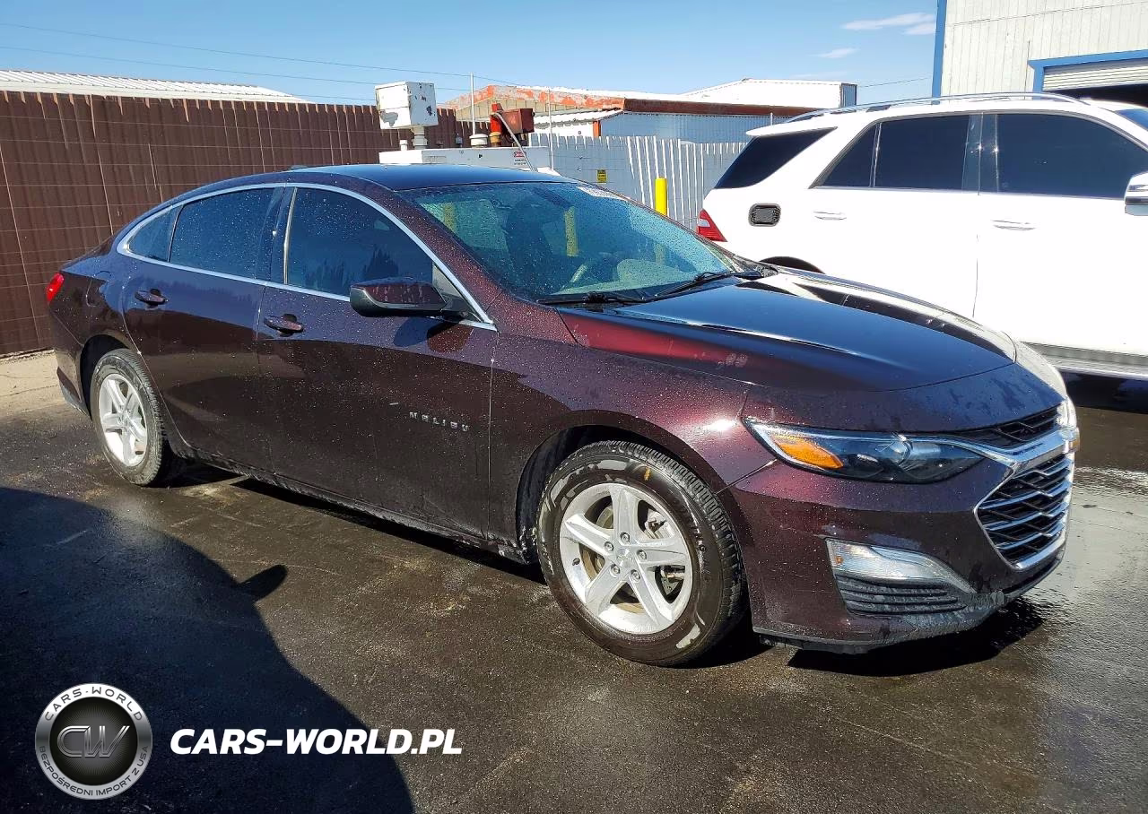 2020 Chevrolet Malibu Ls VIN:1G1ZC5ST7LF141502 - 4