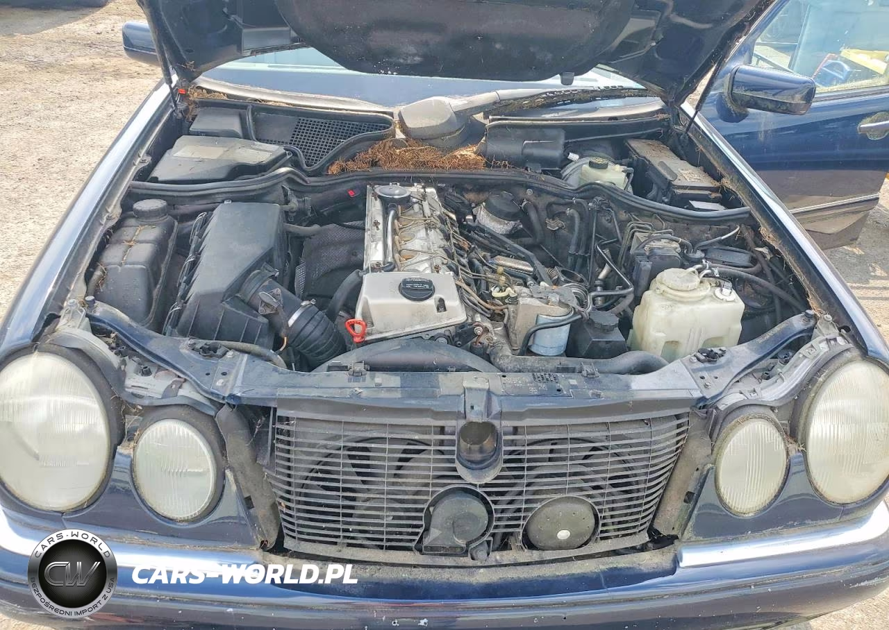 1998 Mercedes-Benz E 300Td VIN:WDBJF25F3WA581880 - 11