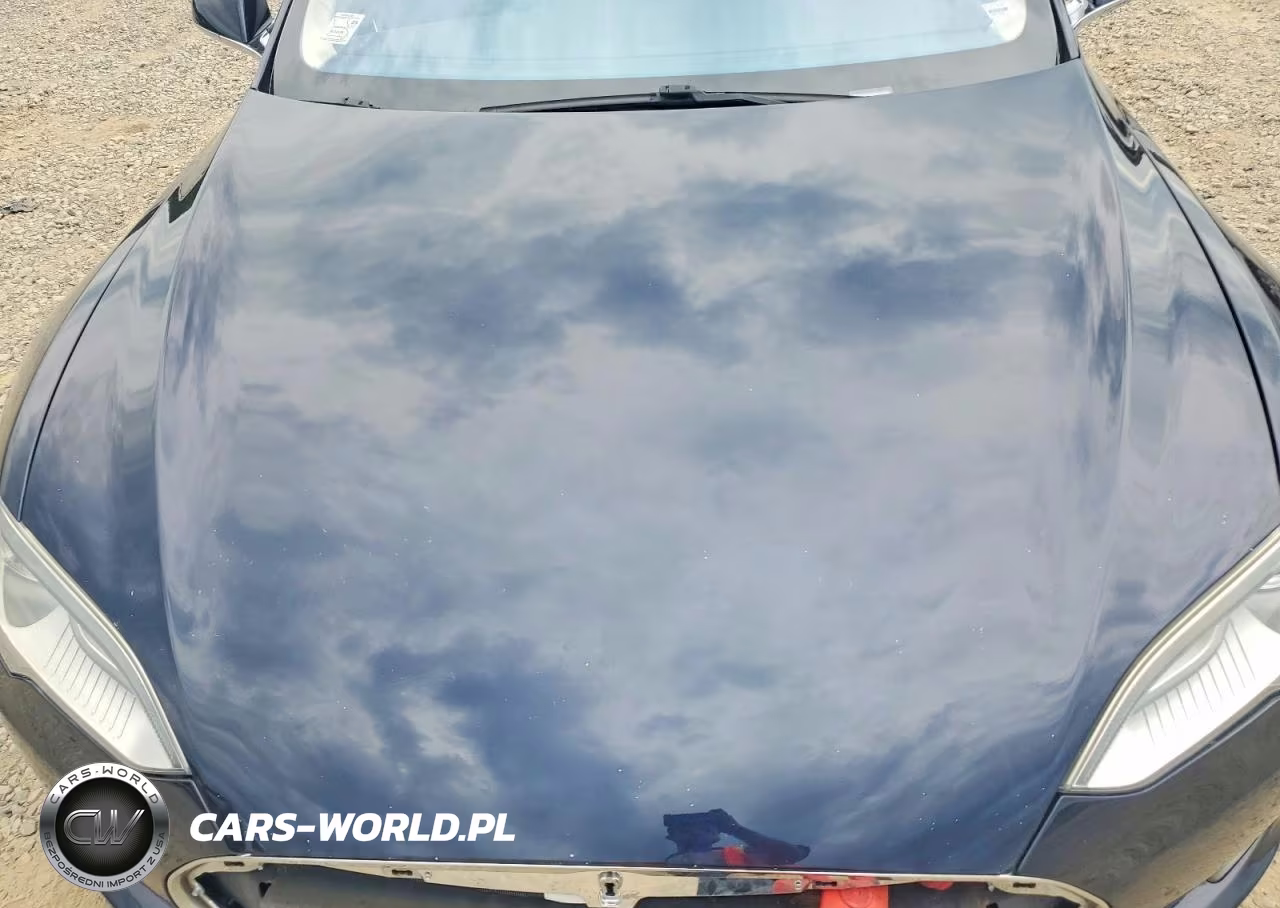 2013 Tesla Model S VIN:5YJSA1CG8DFP04863 - 11