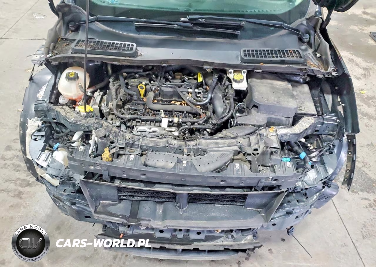 2019 Ford Escape Se VIN:1FMCU9GD2KUA54681 - 12