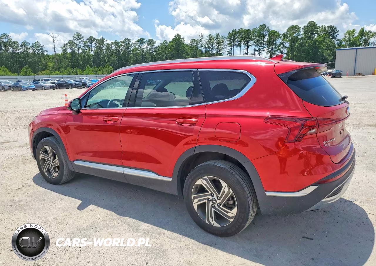 2022 Hyundai Santa Fe Sel VIN:5NMS2DAJ3NH414091 - 2