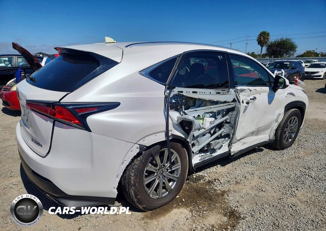 2018 Lexus Nx 300H VIN:JTJBJRBZ2J2087229 - 3