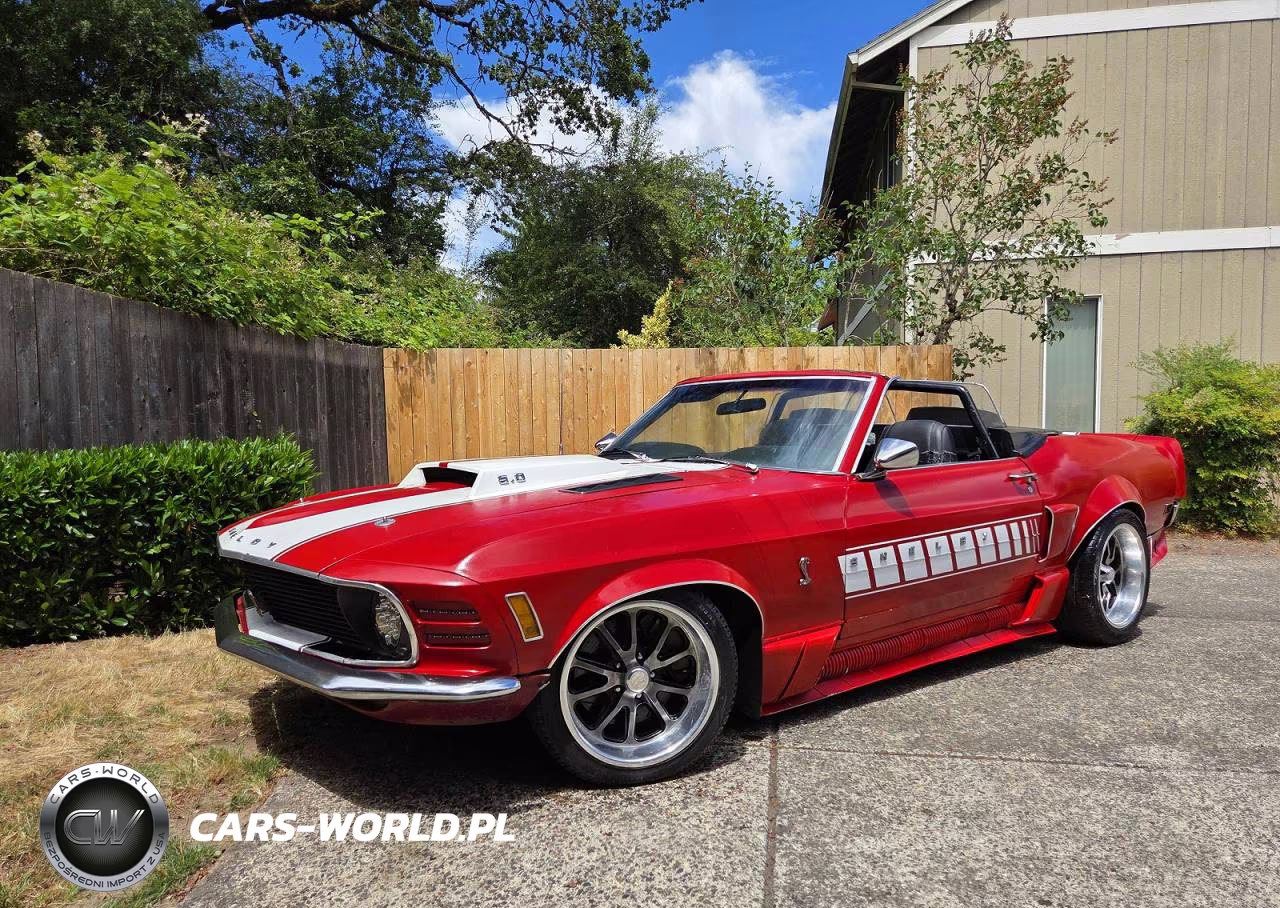 1970 Ford Gt VIN:OR01F113570 - 2