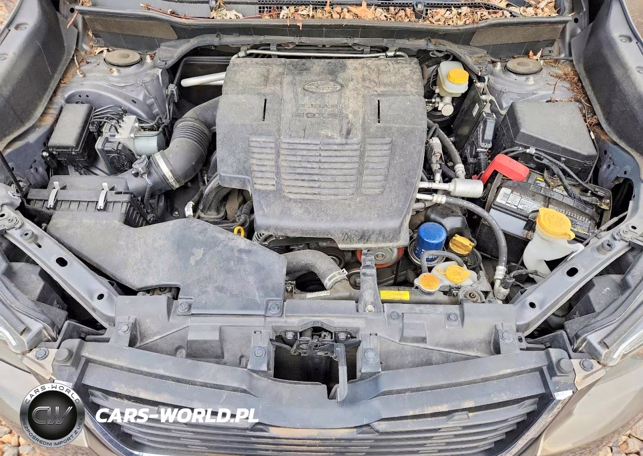 2019 Subaru Forester Limited VIN:JF2SKAUCXKH590713 - 12