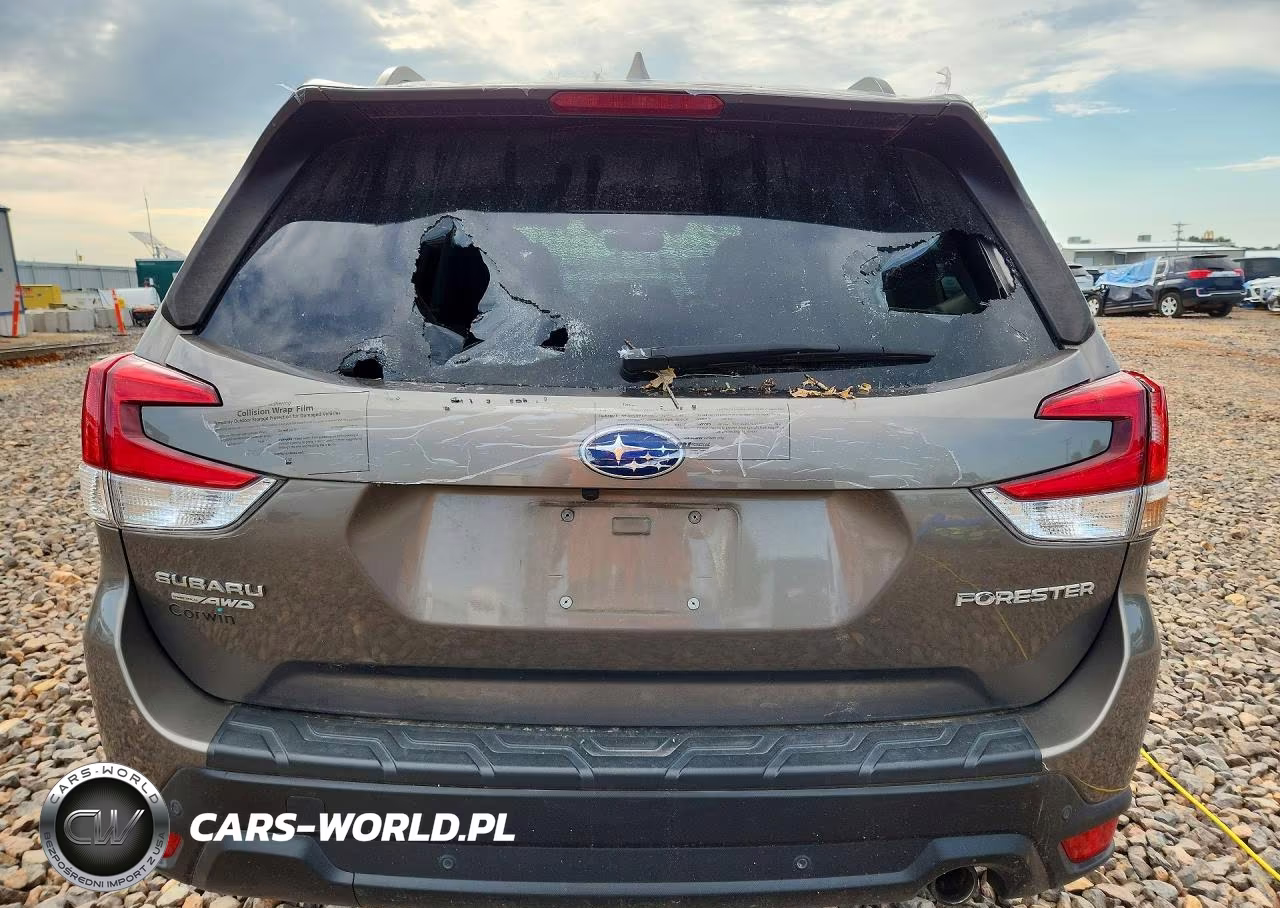2019 Subaru Forester Limited VIN:JF2SKAUCXKH590713 - 6