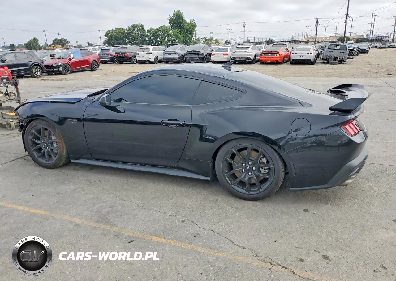 2025 Ford Mustang Gt VIN:1FA6P8CF8S5411355 - 2