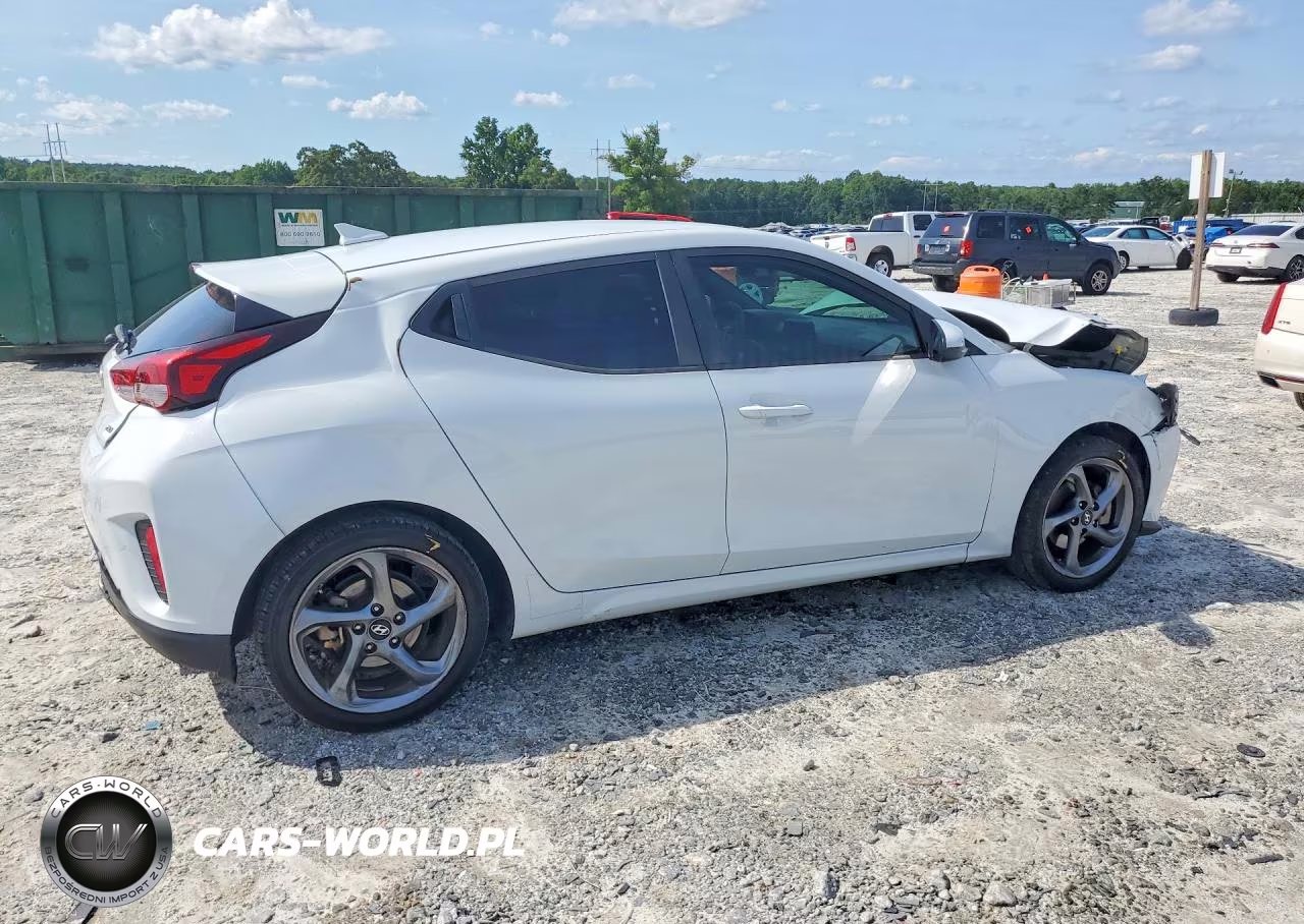 2019 Hyundai Veloster 2.0L VIN:KMHTG6AF5KU004910 - 3