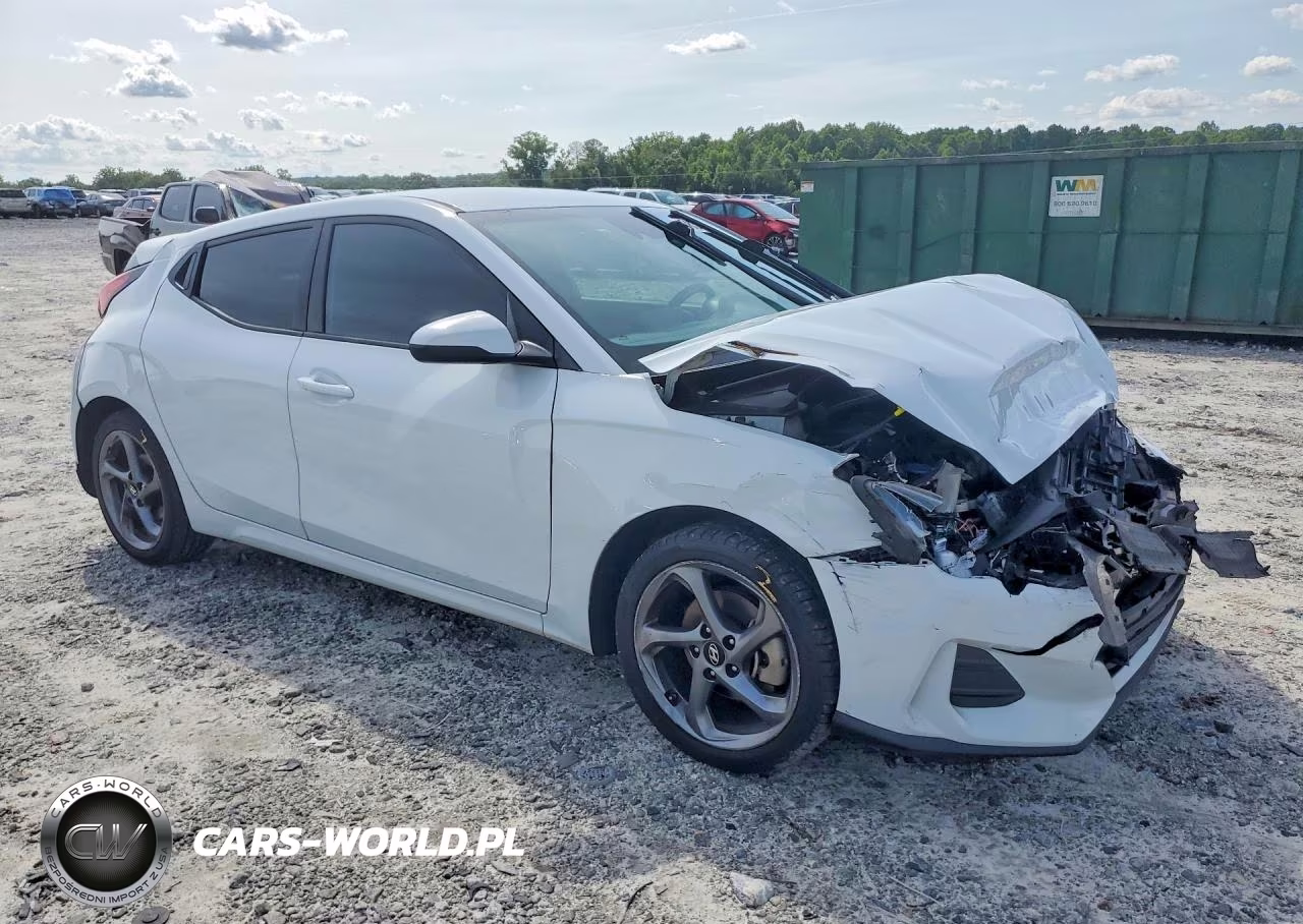 2019 Hyundai Veloster 2.0L VIN:KMHTG6AF5KU004910 - 4