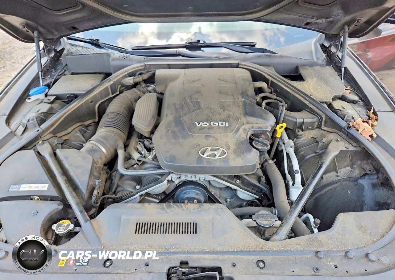 2016 Hyundai Genesis 3.8L VIN:KMHGN4JE4GU126653 - 11
