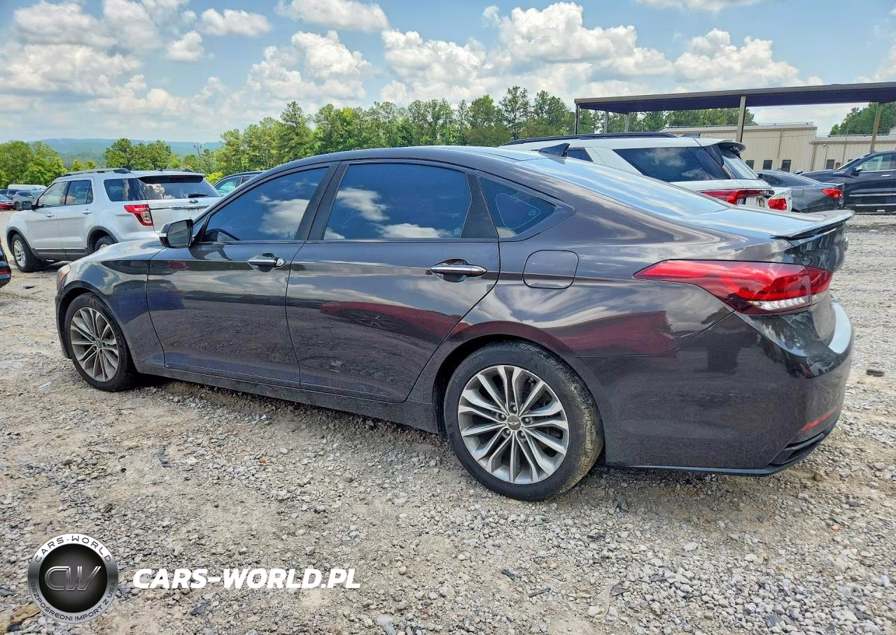 2016 Hyundai Genesis 3.8L VIN:KMHGN4JE4GU126653 - 2