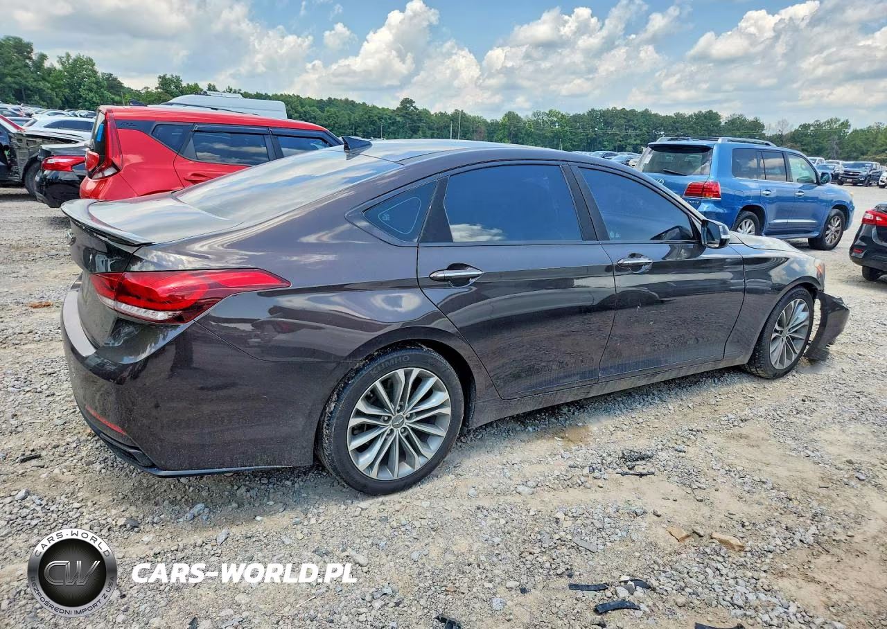 2016 Hyundai Genesis 3.8L VIN:KMHGN4JE4GU126653 - 3