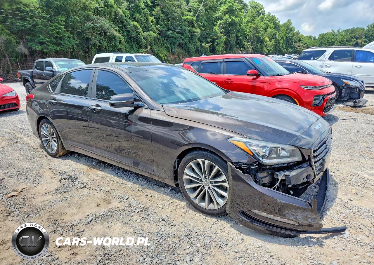2016 Hyundai Genesis 3.8L VIN:KMHGN4JE4GU126653 - 4