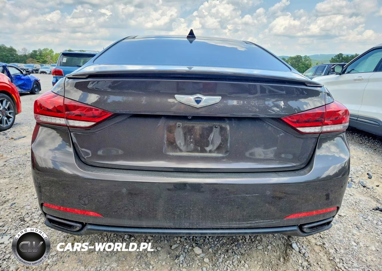 2016 Hyundai Genesis 3.8L VIN:KMHGN4JE4GU126653 - 6