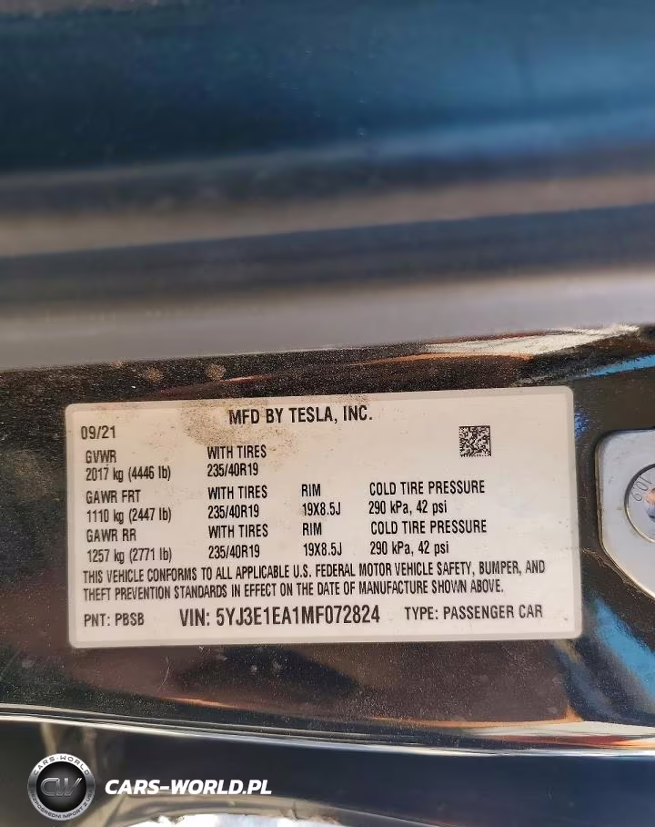 2021 Tesla Model 3 VIN:5YJ3E1EA1MF072824 - 12