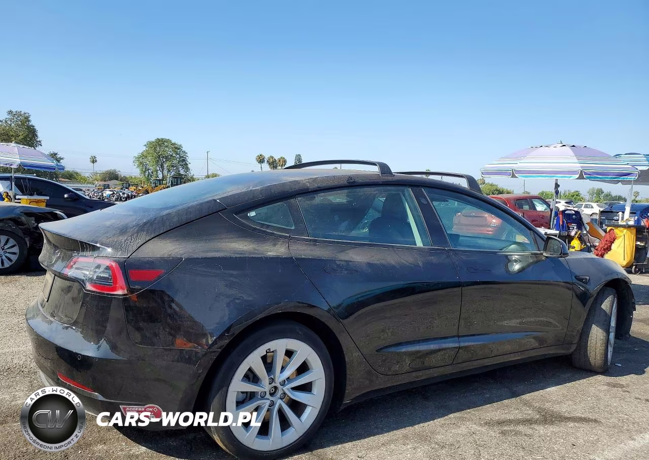 2021 Tesla Model 3 VIN:5YJ3E1EA1MF072824 - 3