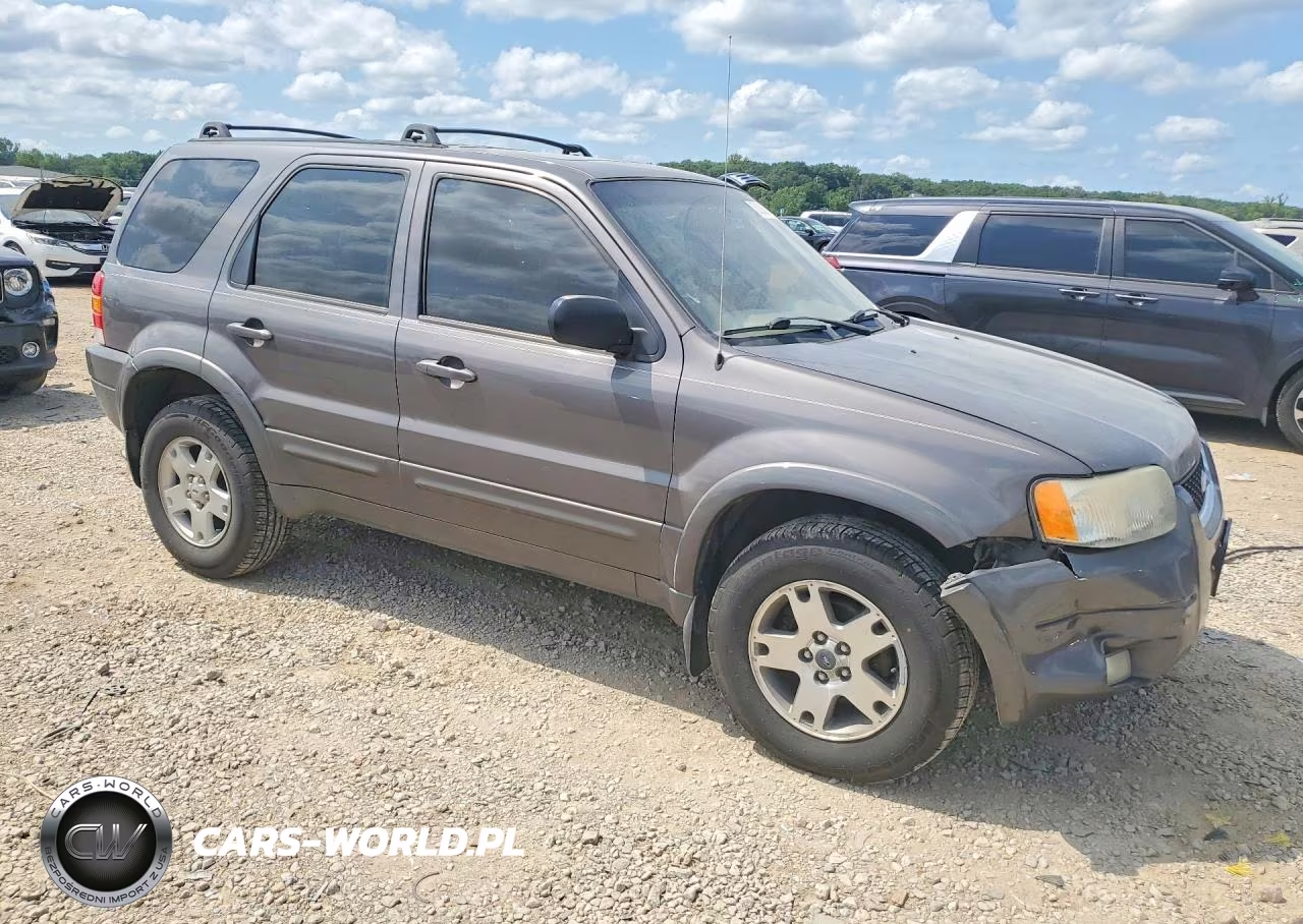 2003 Ford Escape Limited VIN:1FMCU94193KE08316 - 4
