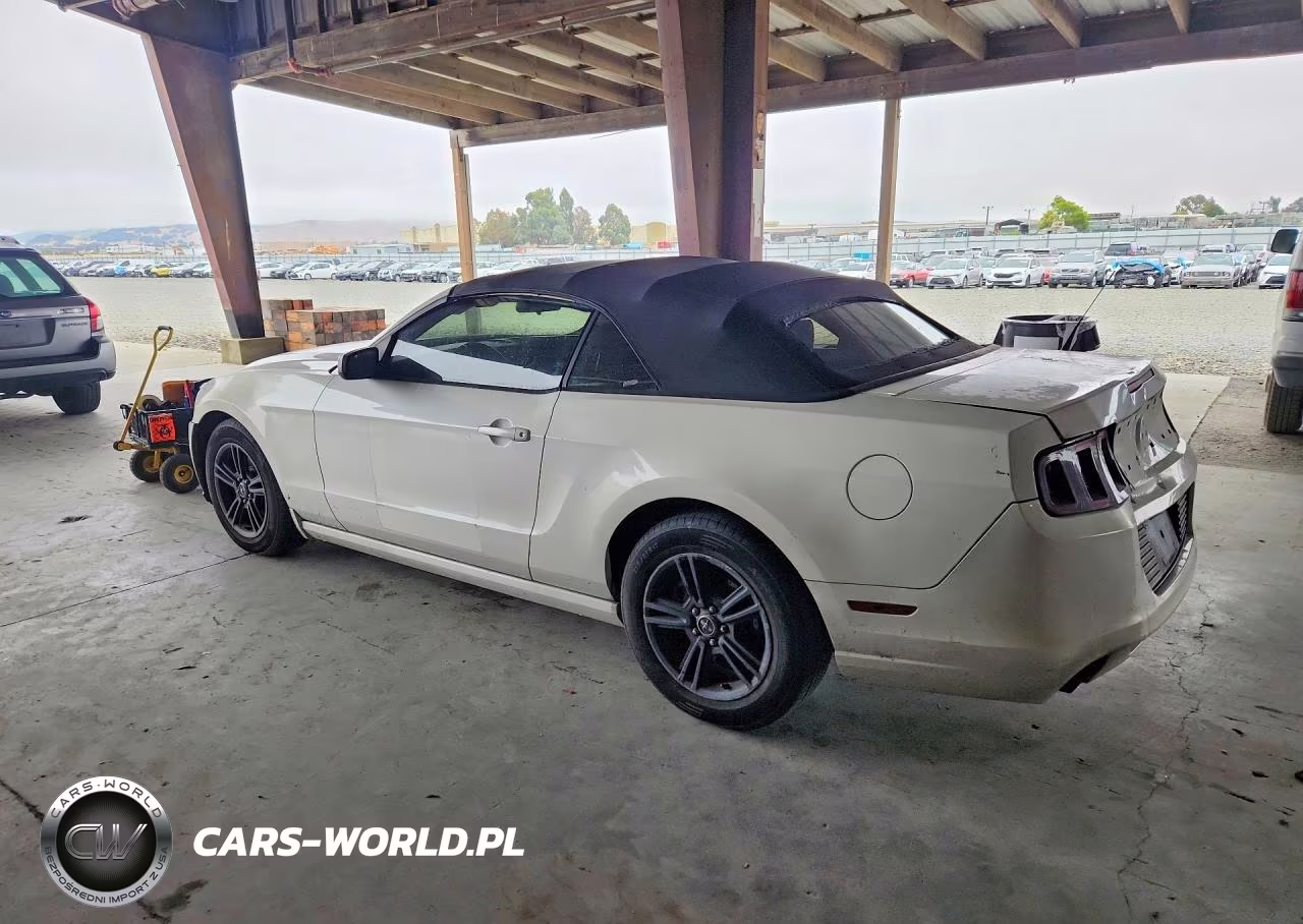 2013 Ford Mustang VIN:1ZVBP8EM1D5224690 - 2