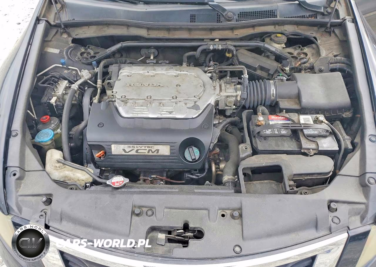 2010 Honda Accord Exl VIN:1HGCP3F83AA012678 - 11