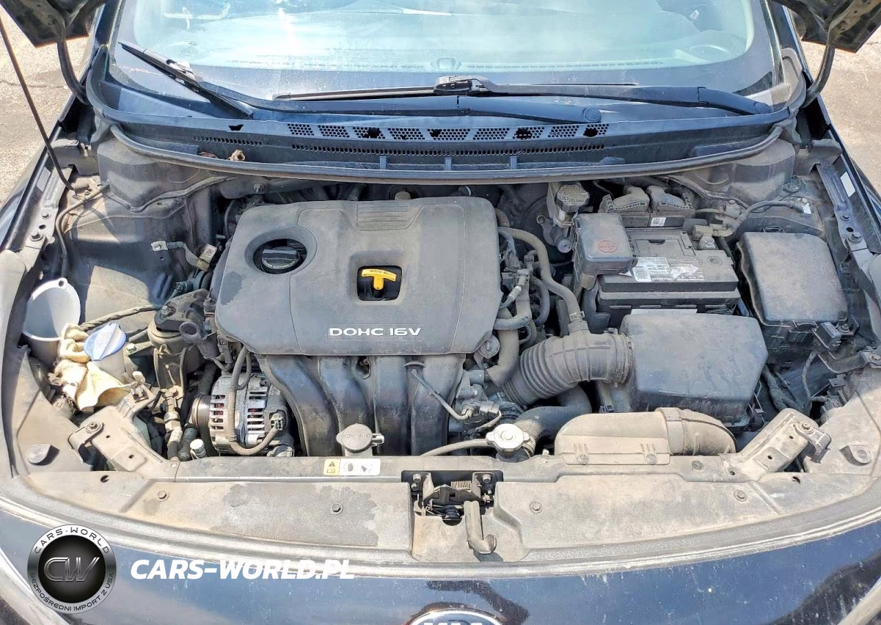2017 Kia Forte Lx VIN:3KPFL4A78HE116361 - 11