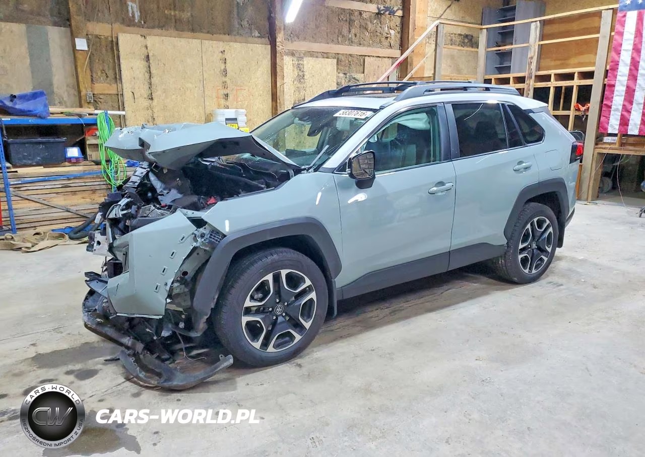2019 Toyota Rav4 Adventure