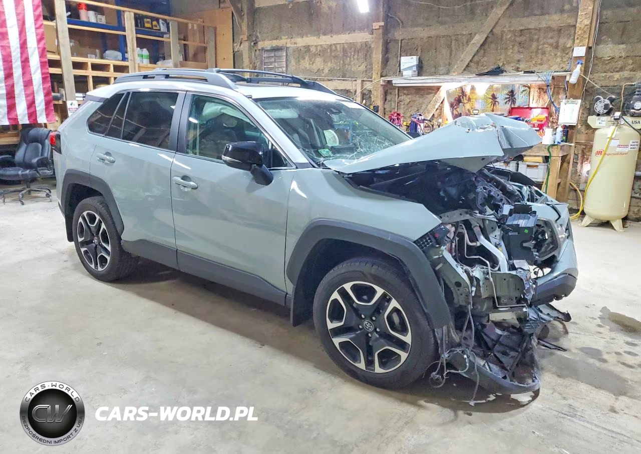 2019 Toyota Rav4 Adventure VIN:2T3J1RFV2KC017374 - 4
