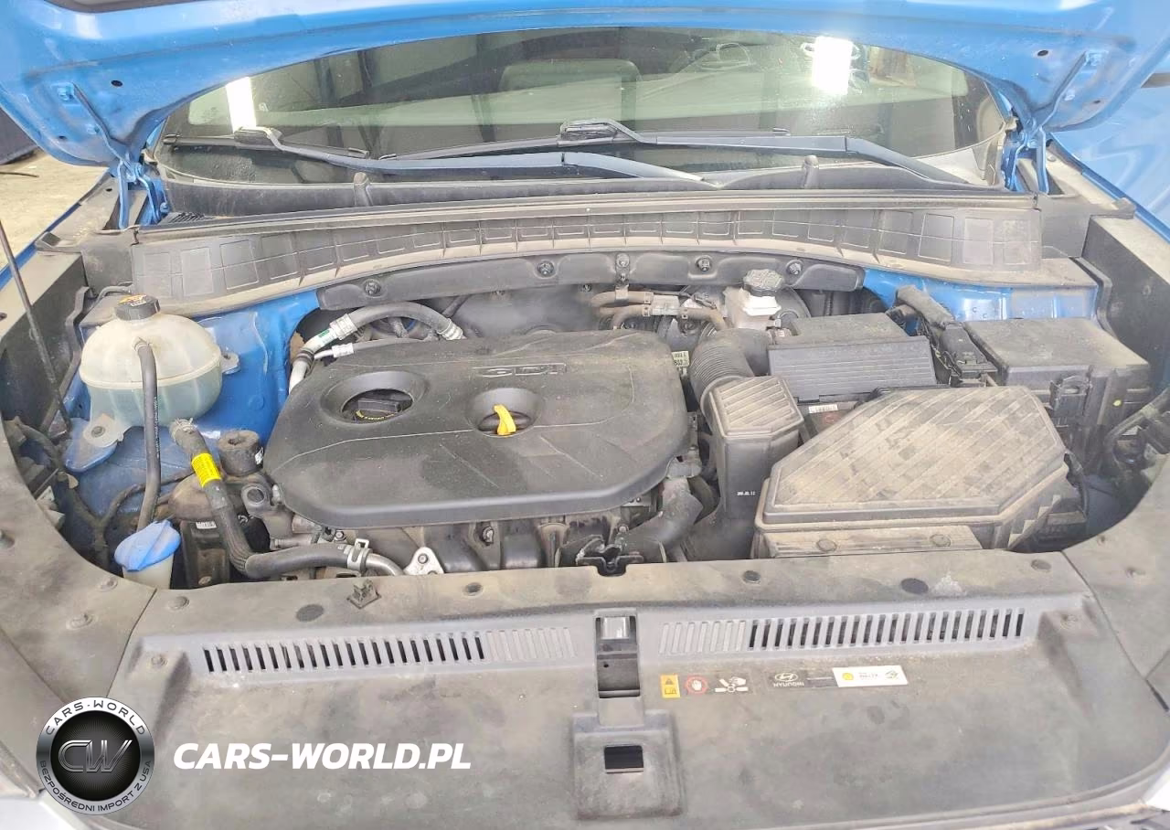 2019 Hyundai Tucson Value VIN:KM8J33A44KU000704 - 12