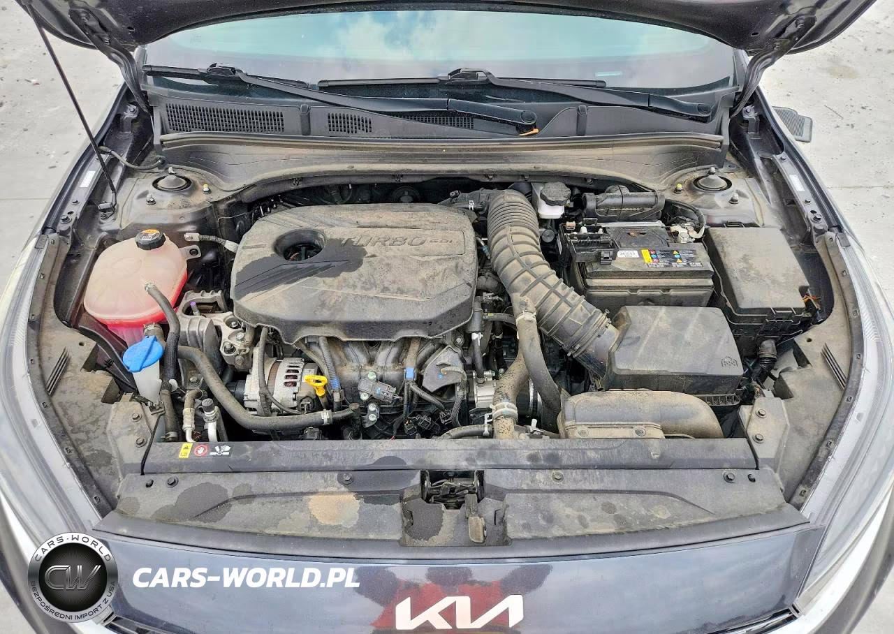 2023 Kia Forte Gt VIN:3KPF44AC3PE517020 - 11