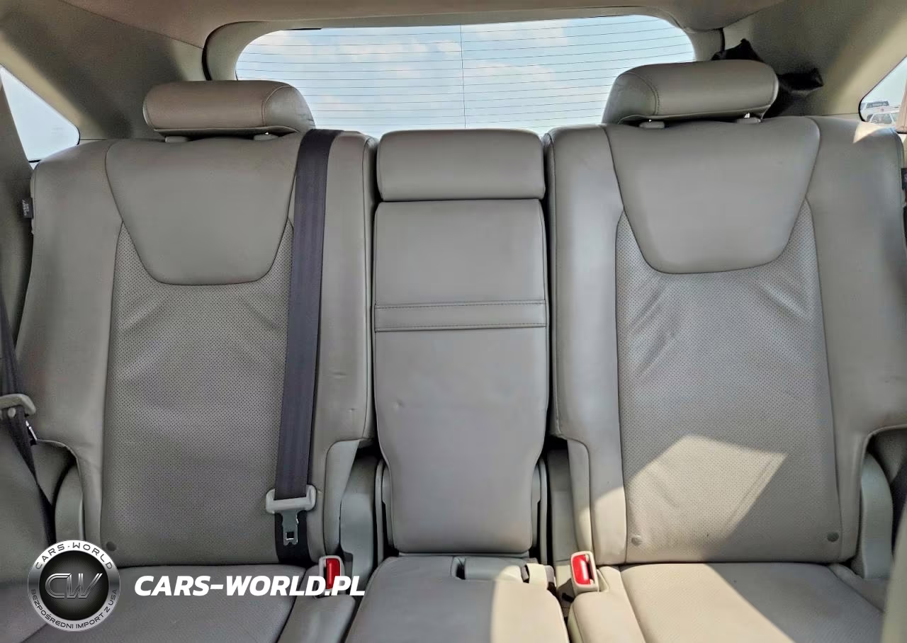 2010 Lexus Rx 350 VIN:JTJZK1BA6A2406042 - 10