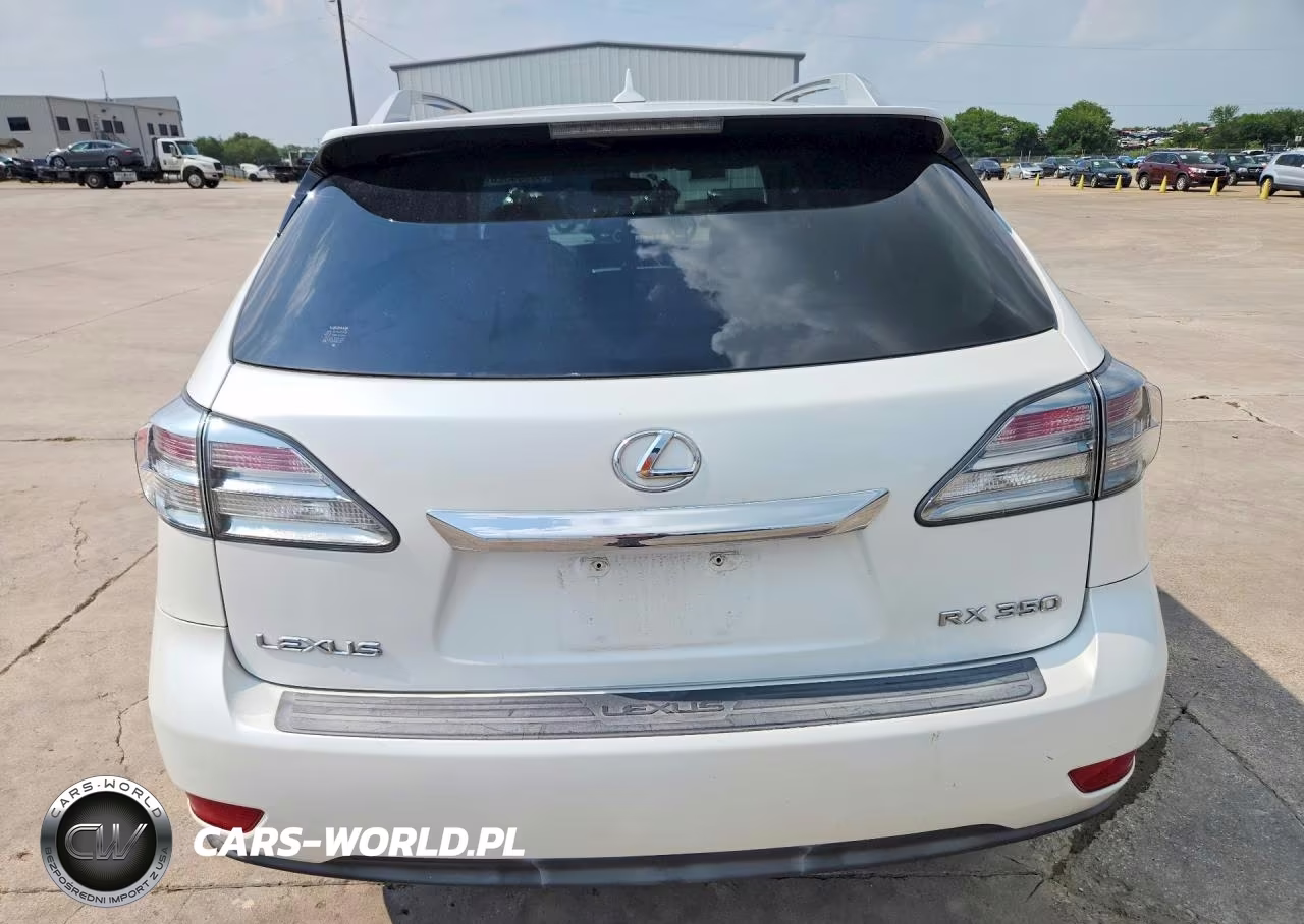 2010 Lexus Rx 350 VIN:JTJZK1BA6A2406042 - 6