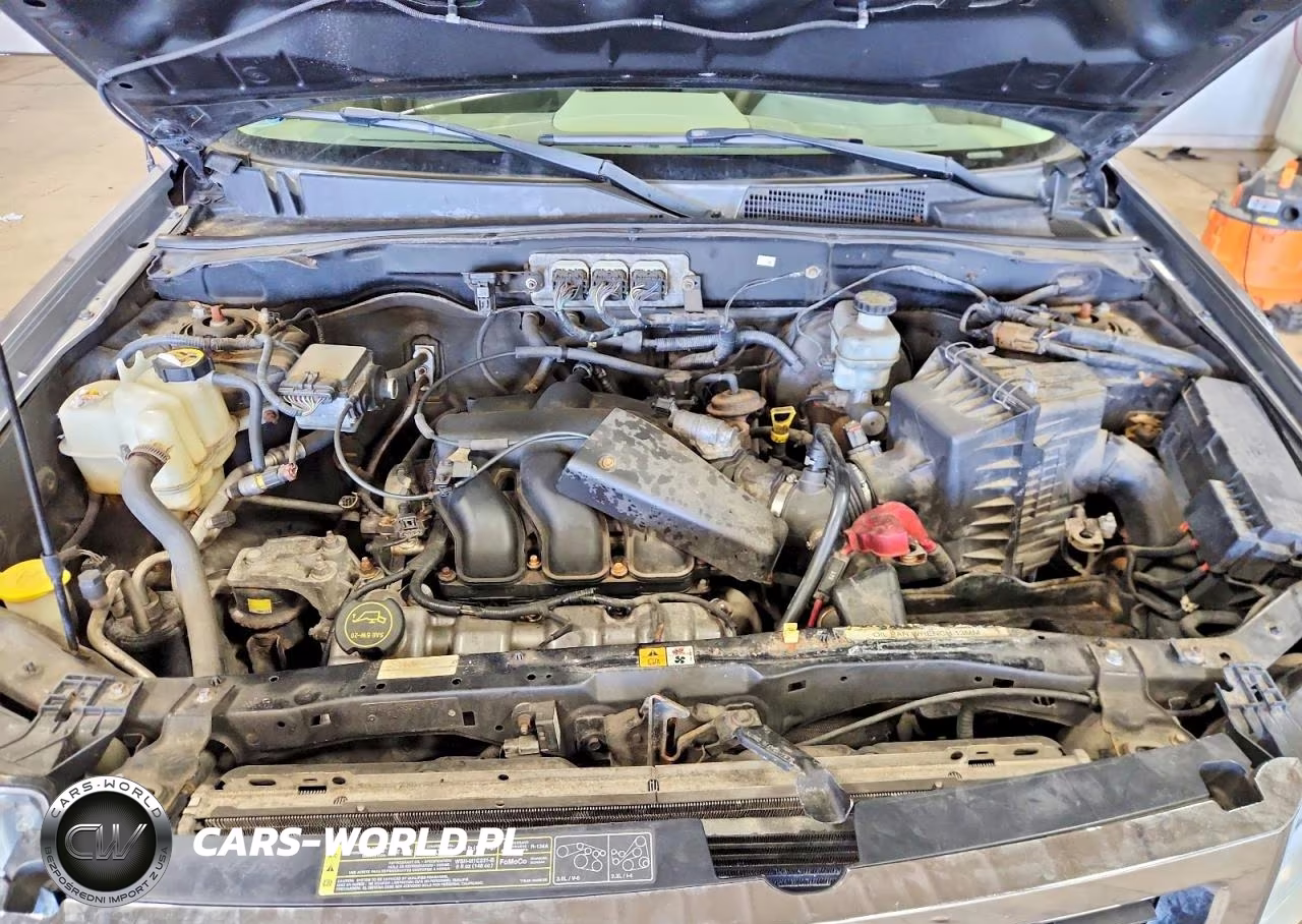 2008 Ford Escape Xlt VIN:1FMCU931X8KE19835 - 12