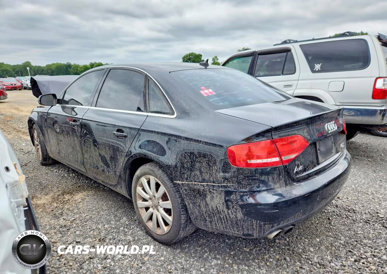 2010 Audi A4 Premium Plus VIN:WAUFFAFL6AN020738 - 2