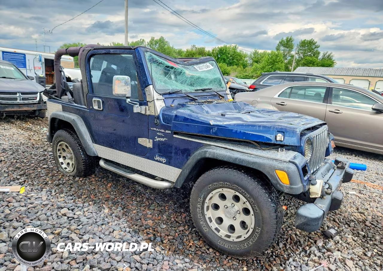 2000 Jeep Wrangler - Tj Sport VIN:1J4FA49S9YP804703 - 4