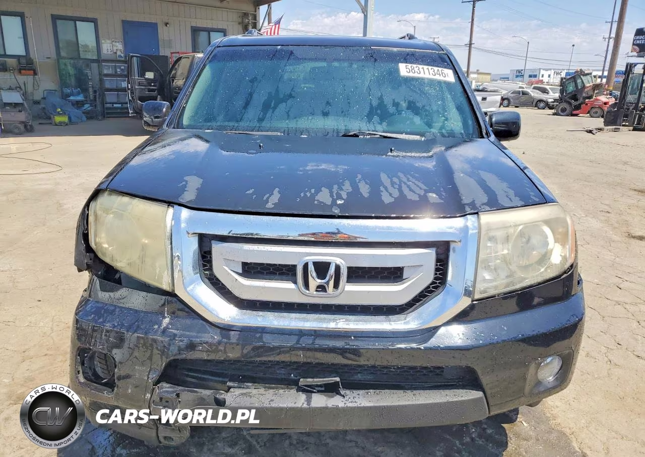 2009 Honda Pilot Exl VIN:5FNYF38549B022679 - 5