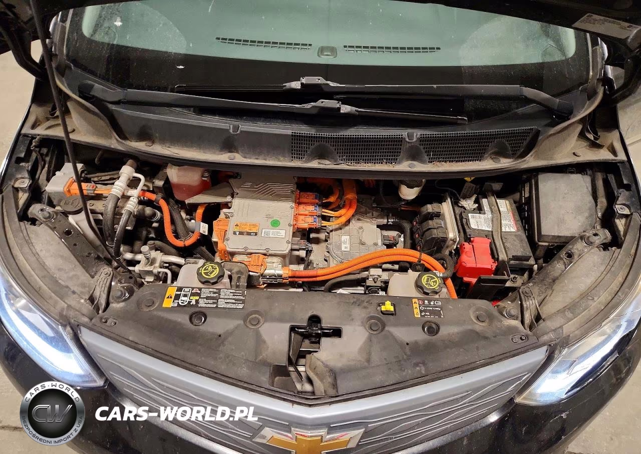 2017 Chevrolet Bolt Ev Premier VIN:1G1FX6S0XH4167789 - 12