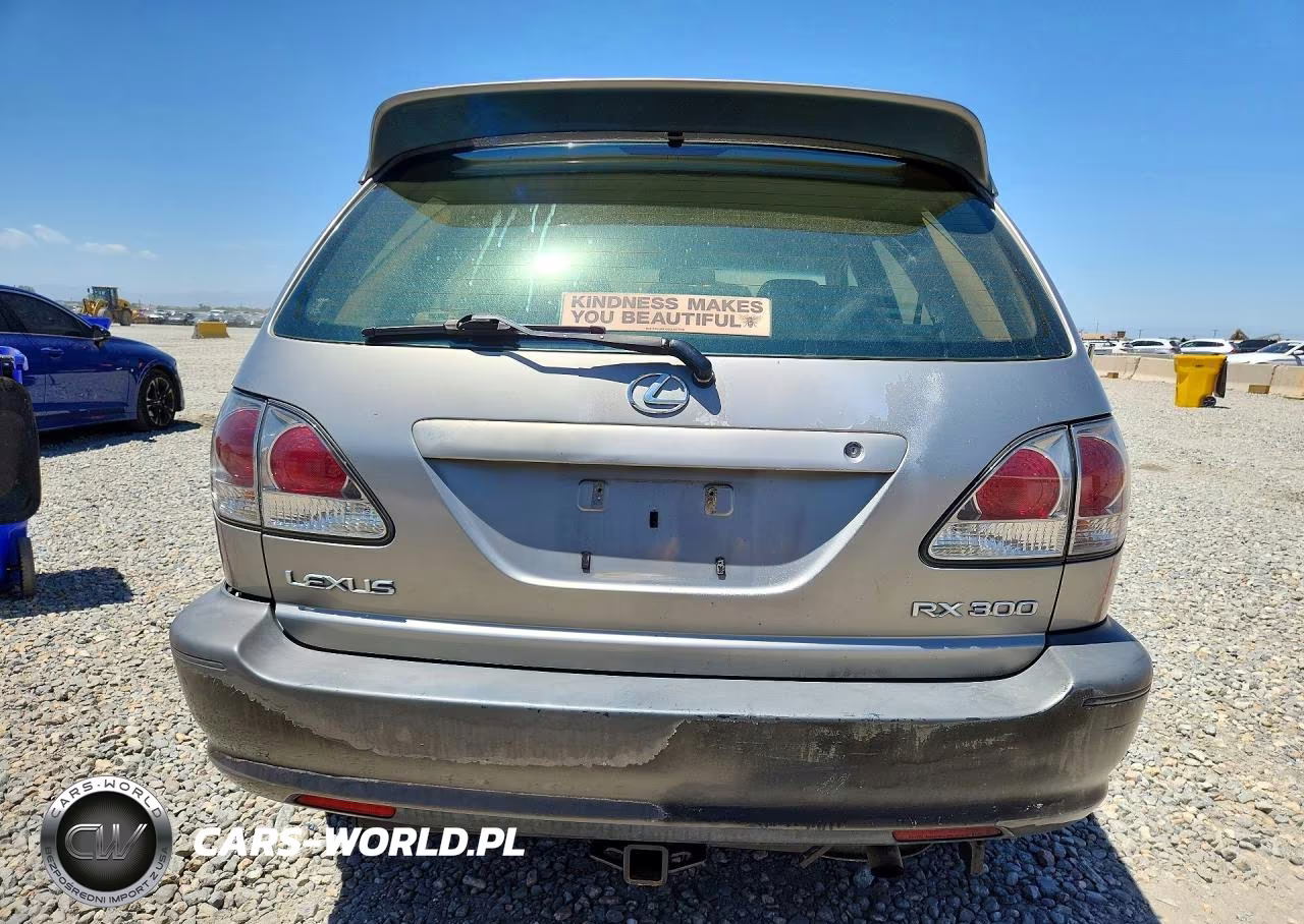 2001 Lexus Rx 300 VIN:JTJGF10U410089396 - 6